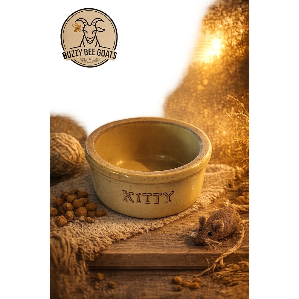 Robinson Ransbottom Kitty Stoneware Cat Bowl Vintage Pottery Pet Feeder USA